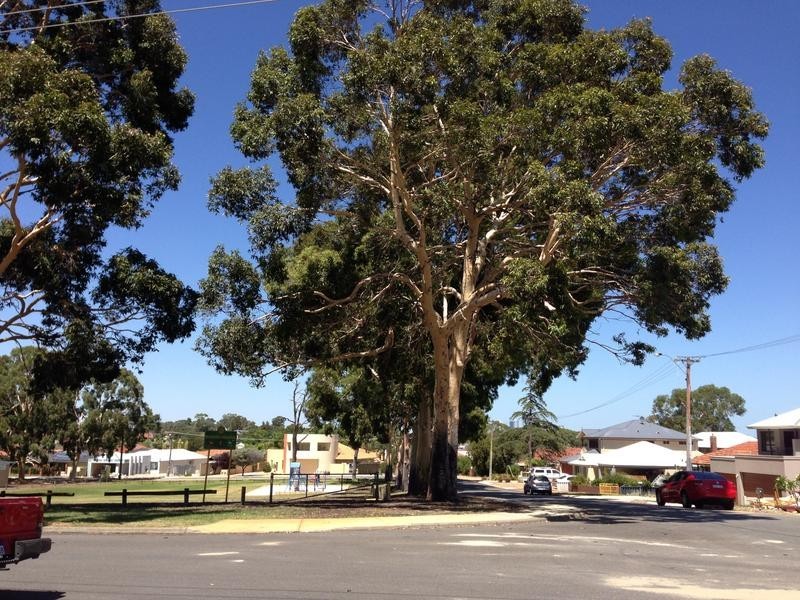 84 McKenzie Way, Embleton WA 6062