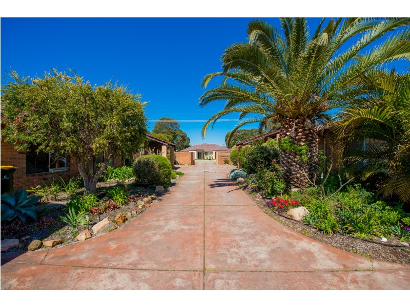 3/69 Elsegood Street, Dianella WA 6059