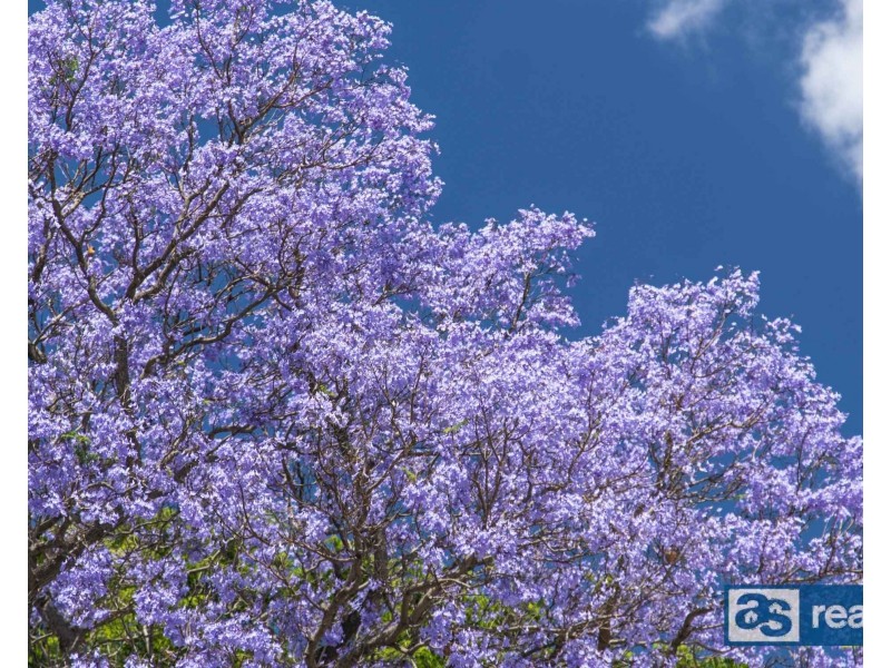 12 Feredy Street, Embleton WA 6062