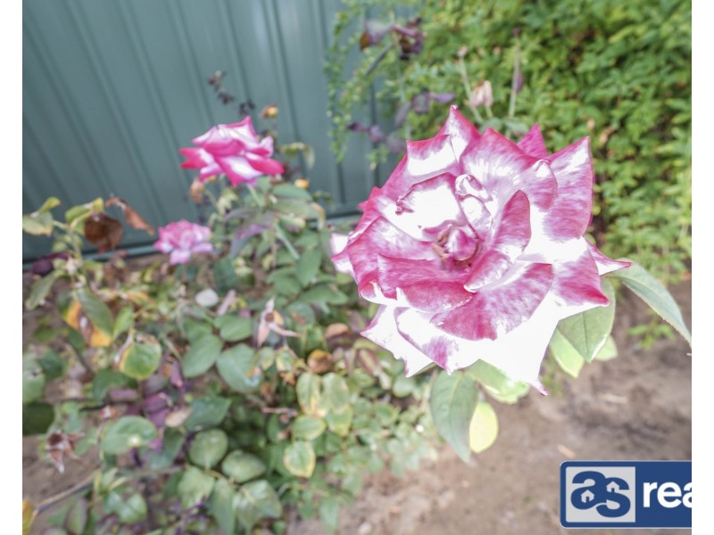 317B The Strand, Dianella WA 6059