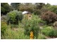 64 Radovick Street, Korumburra VIC 3950