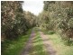 21 Oldens Road, Outtrim VIC 3951