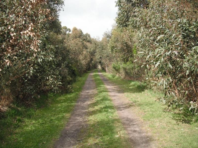 21 Oldens Road, Outtrim VIC 3951