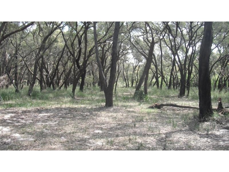 160 Cherry Tree Drive, Lang Lang East VIC 3984