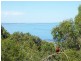 41 Bayside Drive, Walkerville VIC 3956