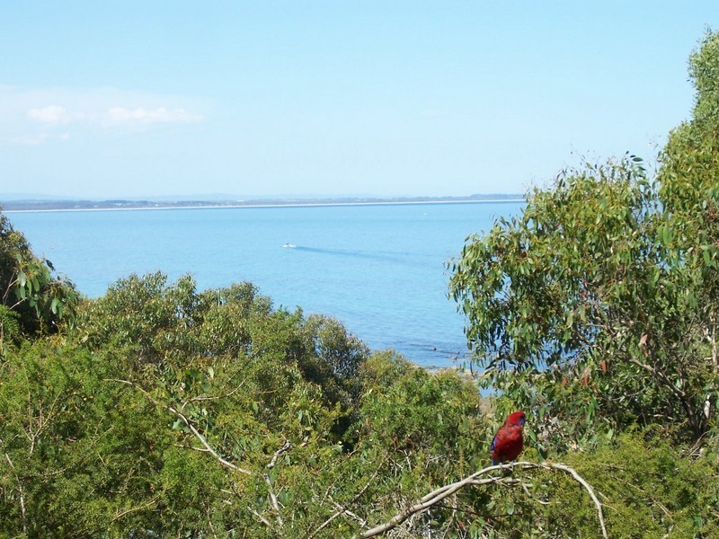 41 Bayside Drive, Walkerville VIC 3956