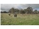 270 Leongatha South/Outtrim Road, Leongatha South VIC 3953