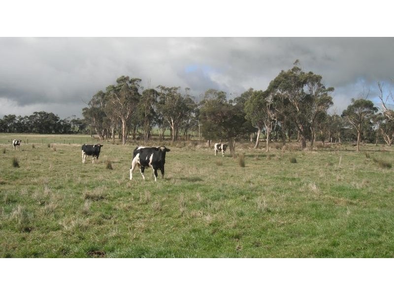 270 Leongatha South/Outtrim Road, Leongatha South VIC 3953