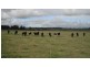 270 Leongatha South/Outtrim Road, Leongatha South VIC 3953