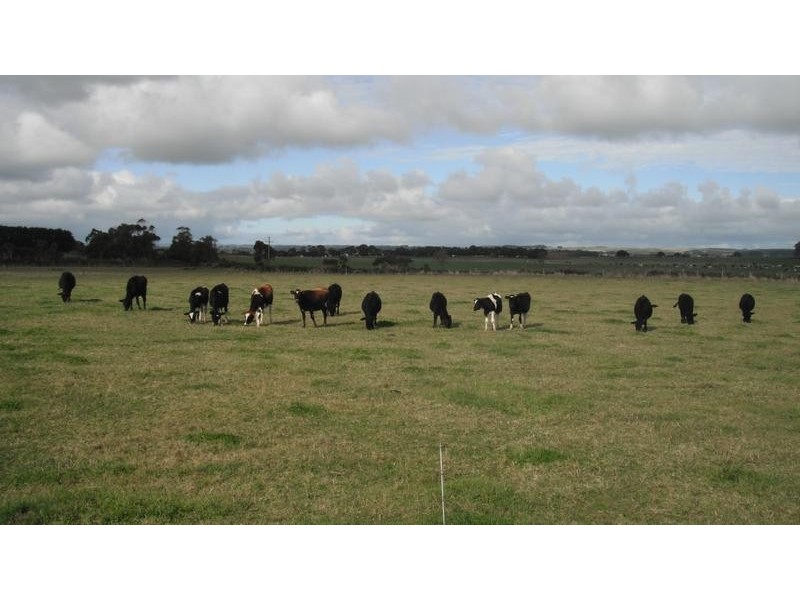 270 Leongatha South/Outtrim Road, Leongatha South VIC 3953