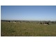 8495 Bass Highway, Leongatha VIC 3953