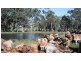 8495 Bass Highway, Leongatha VIC 3953