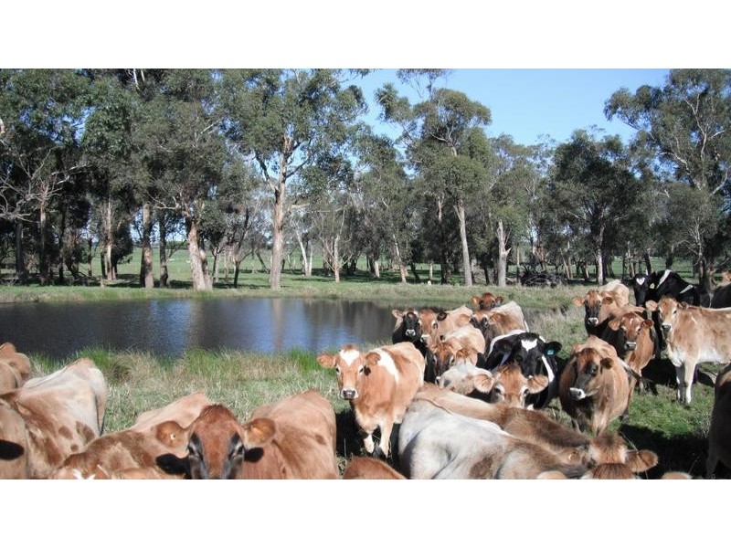 8495 Bass Highway, Leongatha VIC 3953