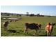 8495 Bass Highway, Leongatha VIC 3953