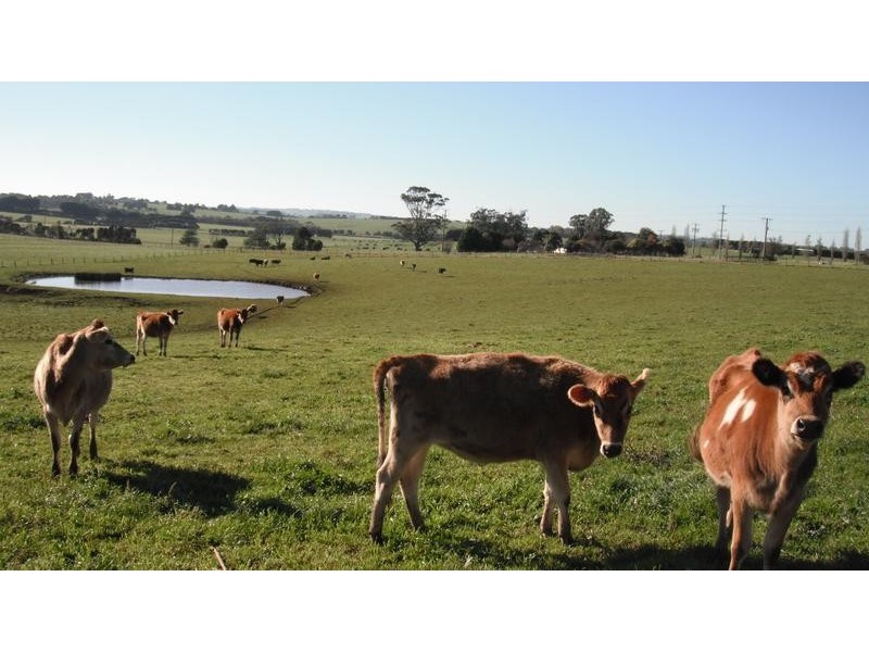 8495 Bass Highway, Leongatha VIC 3953