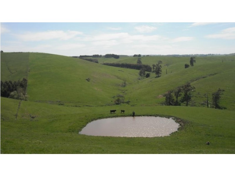 45 Nolans Rd, Meeniyan VIC 3956