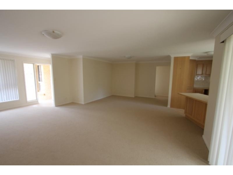 16A Grandview Street, Shelly Beach NSW 2261