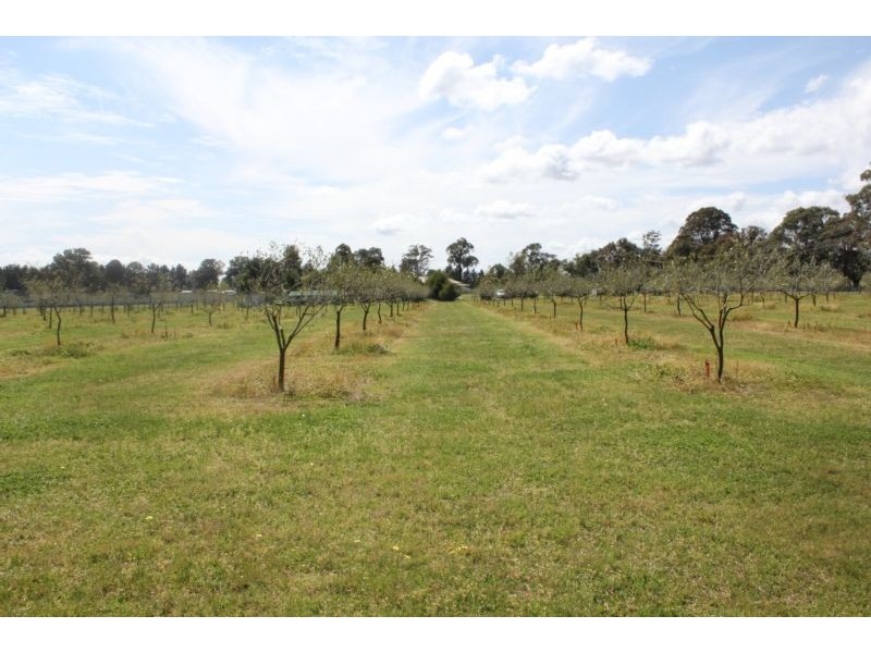 265 Bargo Road, Bargo NSW 2574