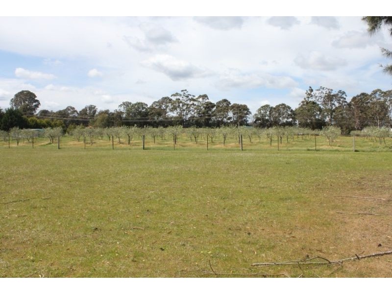 265 Bargo Road, Bargo NSW 2574
