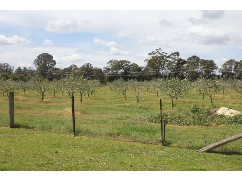 265 Bargo Road, Bargo NSW 2574