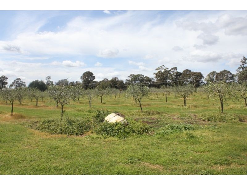 265 Bargo Road, Bargo NSW 2574