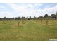 265 Bargo Road, Bargo NSW 2574