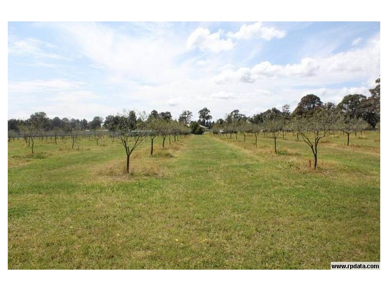 265 Bargo Road, Bargo NSW 2574