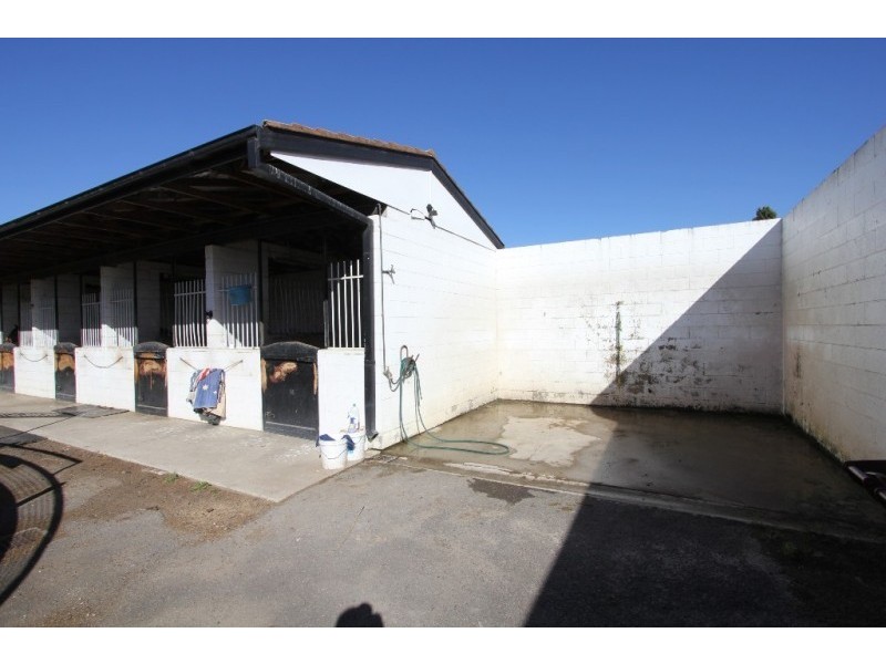 13 Bull Street, Warwick Farm NSW 2170