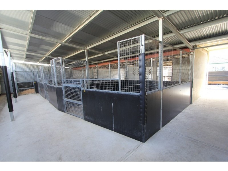 10B Bull Street, Warwick Farm NSW 2170