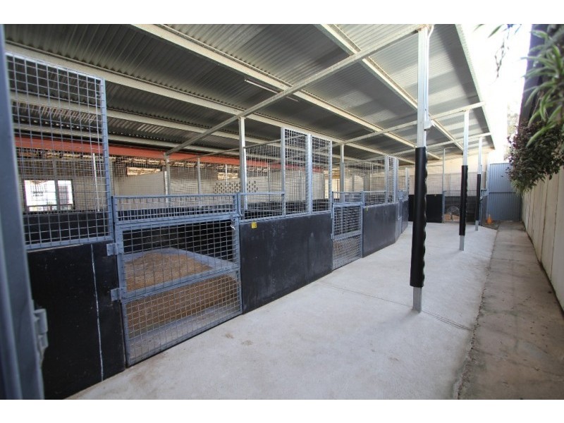 10B Bull Street, Warwick Farm NSW 2170