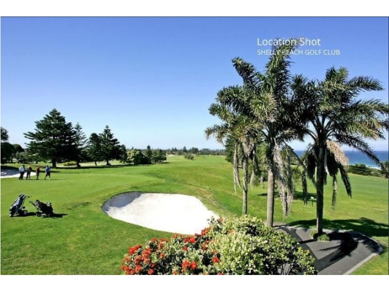 16 Grandview Street, Shelly Beach NSW 2261