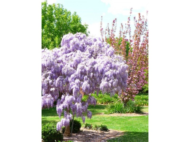 73 HUON CREEK ROAD, Wodonga VIC 3690