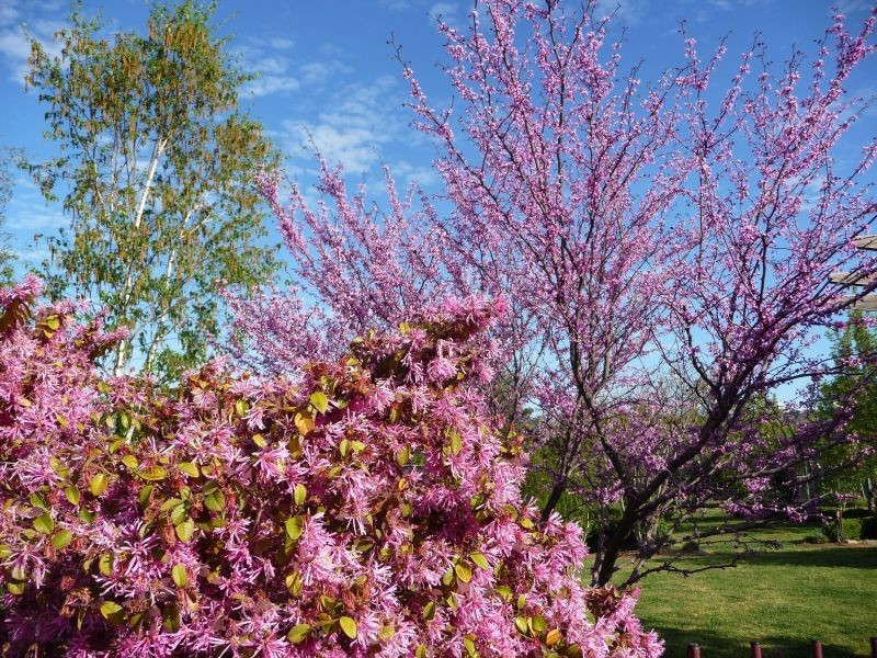 73 HUON CREEK ROAD, Wodonga VIC 3690