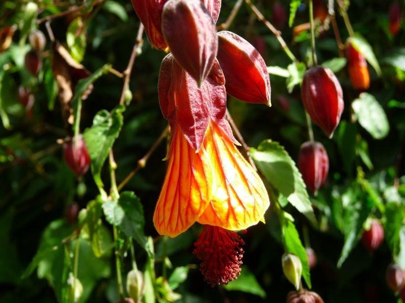 73 HUON CREEK ROAD, Wodonga VIC 3690