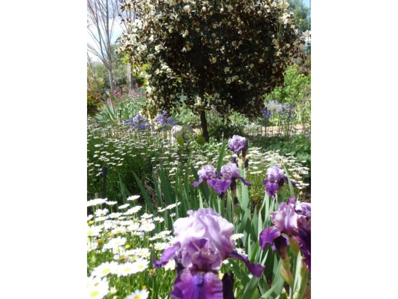 73 HUON CREEK ROAD, Wodonga VIC 3690