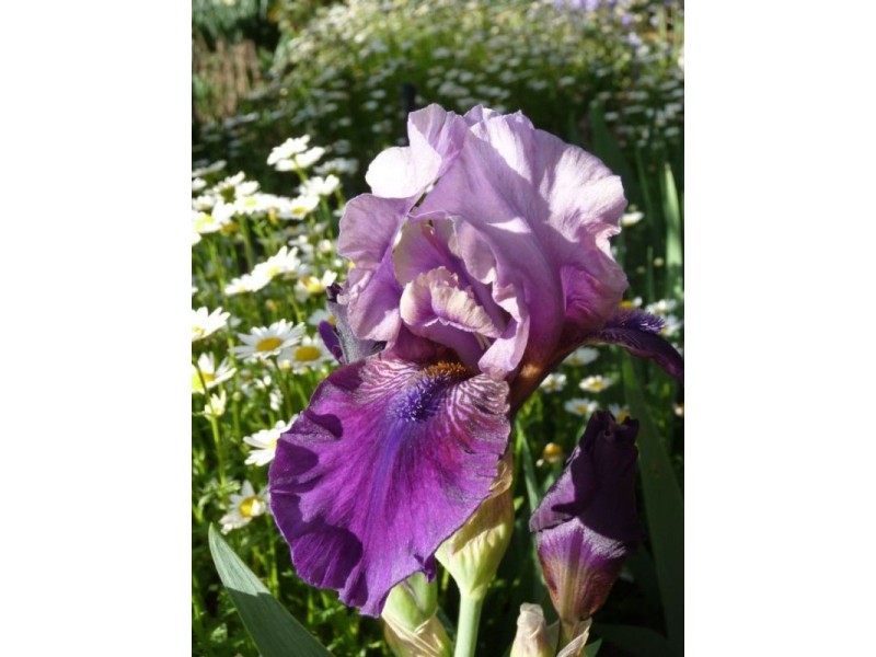 73 HUON CREEK ROAD, Wodonga VIC 3690