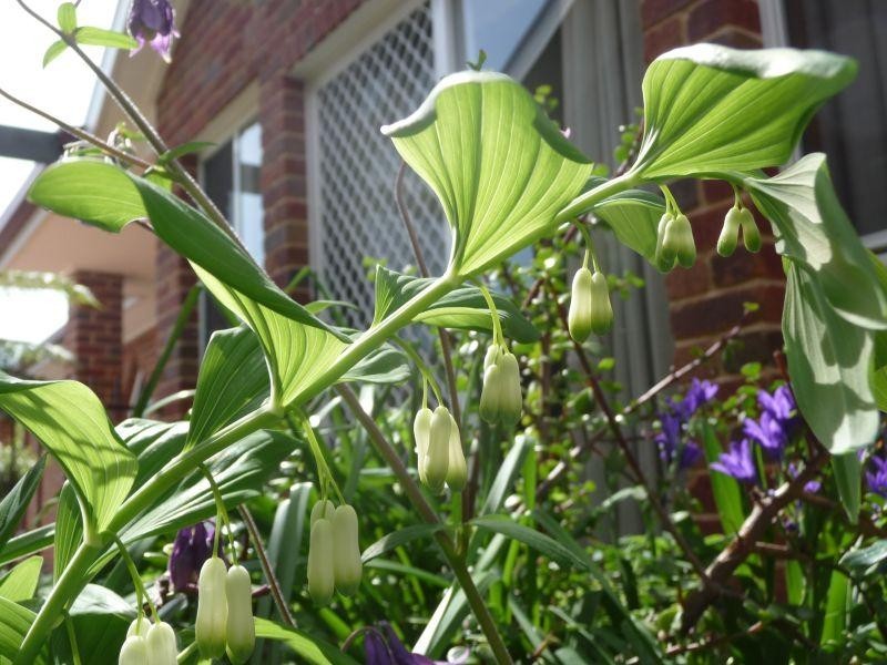 73 HUON CREEK ROAD, Wodonga VIC 3690