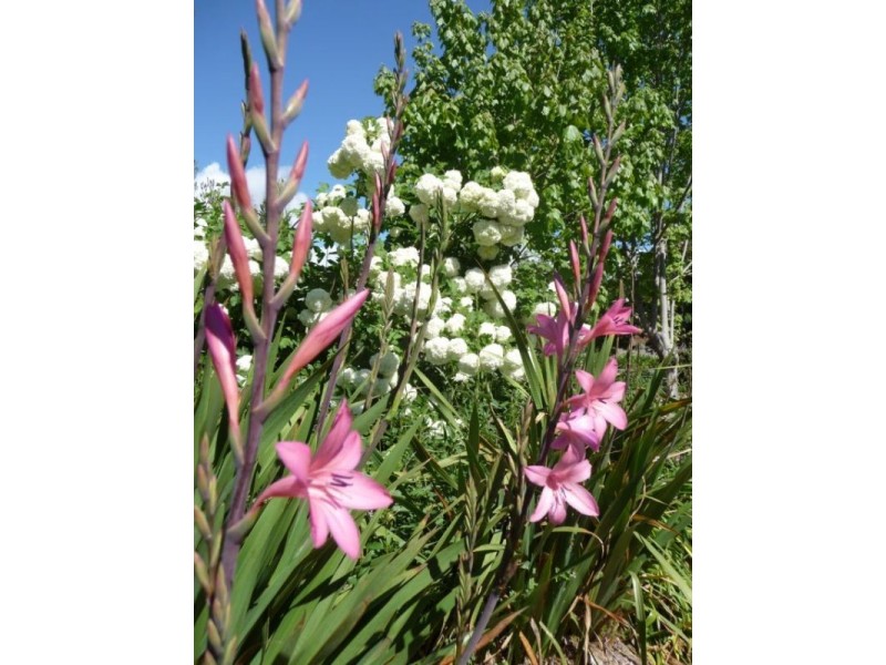 73 HUON CREEK ROAD, Wodonga VIC 3690