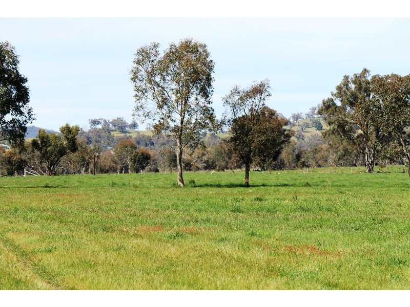 228. PERRYMAN LANE, Table Top NSW 2640