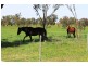 228. PERRYMAN LANE, Table Top NSW 2640
