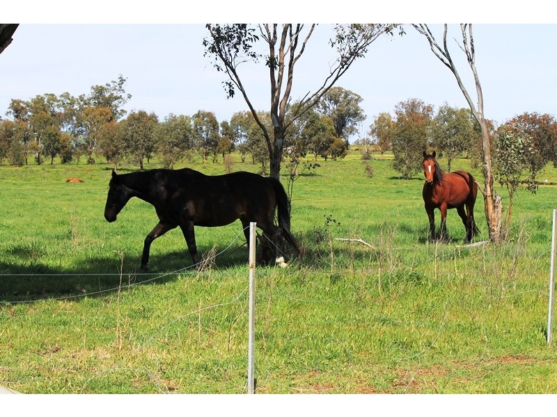 228. PERRYMAN LANE, Table Top NSW 2640