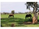 228. PERRYMAN LANE, Table Top NSW 2640