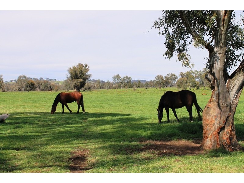228. PERRYMAN LANE, Table Top NSW 2640