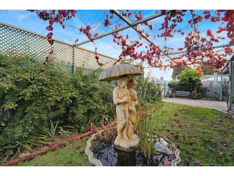 19 BURNLEY STREET, Wodonga VIC 3690