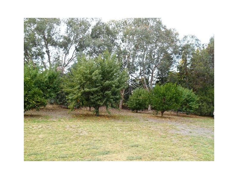 32 HOWARDS ROAD, Baranduda VIC 3691