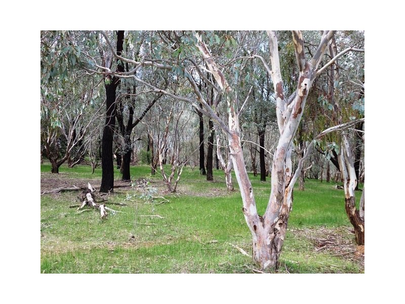 Lot 721,  FOREST DRIVE, Thurgoona NSW 2640