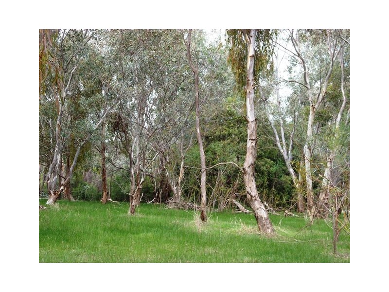 Lot 721,  FOREST DRIVE, Thurgoona NSW 2640