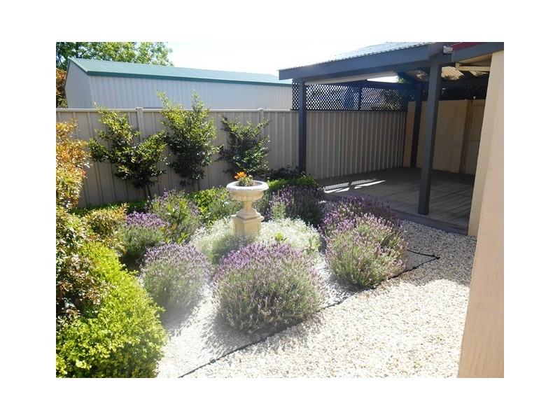 43a CHARLES STREET, Wodonga VIC 3690