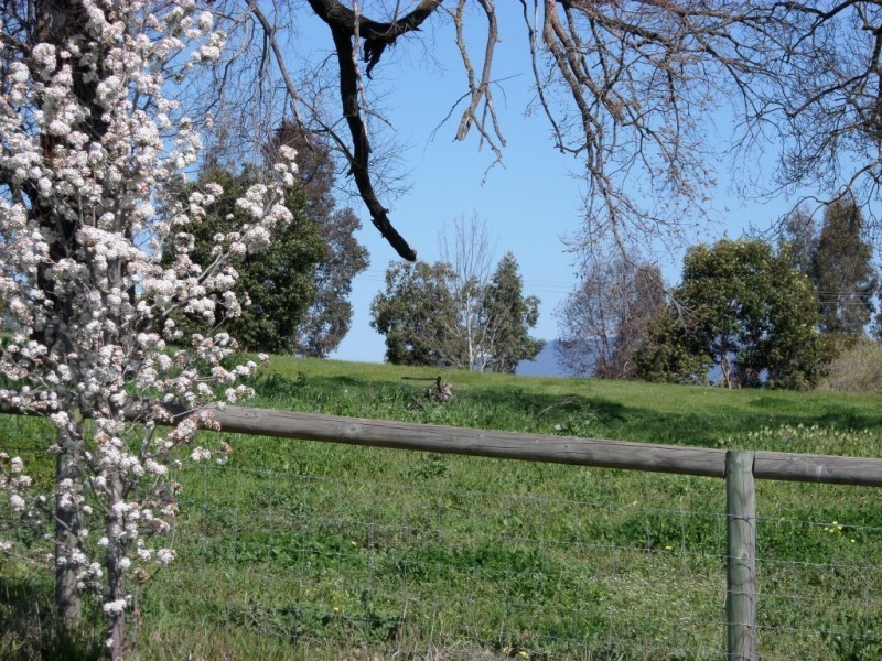 38 HILLANDALE COURT (Lot 9), Bonegilla VIC 3691