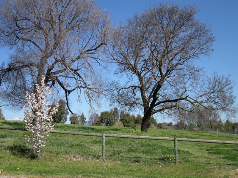 38 HILLANDALE COURT (Lot 9), Bonegilla VIC 3691